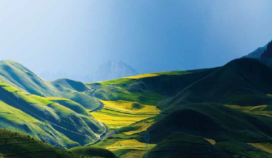 同航发与校园深度合作晨光鲜奶